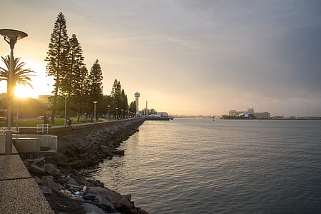 View of Trees at Sunset thumbnail