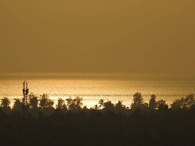 landscape photo of seashore near trees during golden hour thumbnail