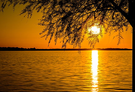 photo of tree near body of water during golden hour thumbnail
