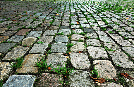 green grass thumbnail