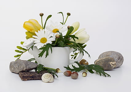 white daisy flowers in white ceramic pot thumbnail