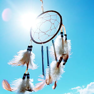 black and white feather dreamcatcher during daytime thumbnail