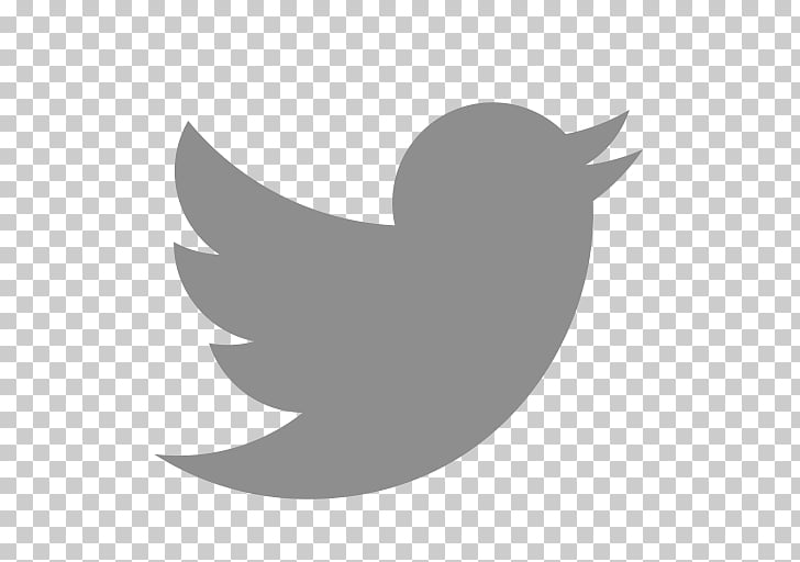 Png Format Twitter Logo White Png