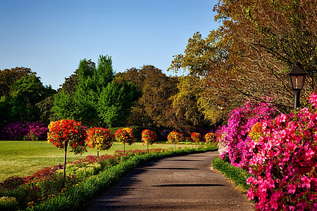 Bellingrath Gardens landscape in Alabama thumbnail