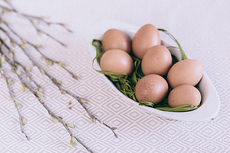 Fresh eggs thumbnail