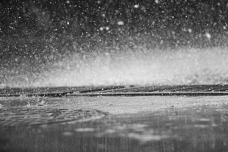 greyscale photography of rain drops thumbnail