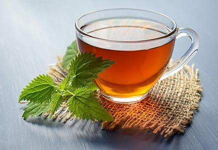 Peppermint Tea on Teacup thumbnail