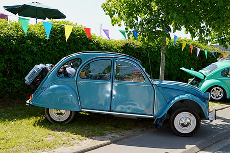 blue Volkswagen Beetle coupe parked near the tree during daytime thumbnail