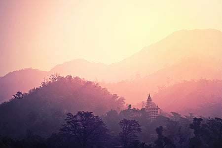 silhouette view of a building in the middle of the forest thumbnail