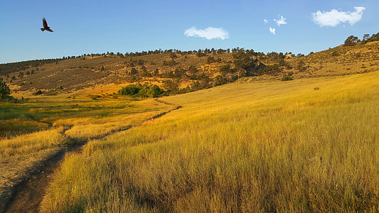 green grass field near the mountain photography thumbnail