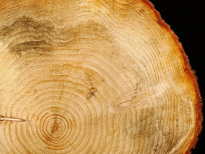 brown wood slab with black background thumbnail