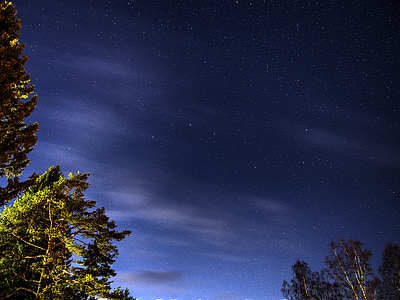 green leafed trees under starry sky during night time thumbnail