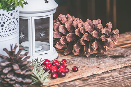 Brown Pinecone Beside Candle Lantern thumbnail