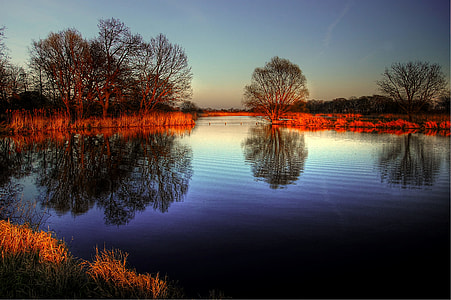 trees and lake at daytime thumbnail