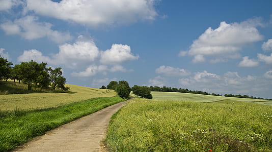 wide green grass field during daytime thumbnail