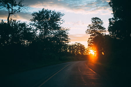 light, road, dawn, sky thumbnail