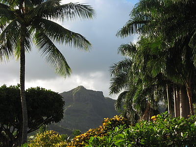 photo of mountains and trees during daytime thumbnail