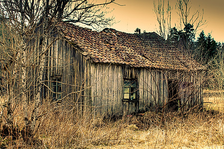 blackl and brown shack thumbnail