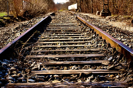 rail way in the middle of trees during daytime thumbnail