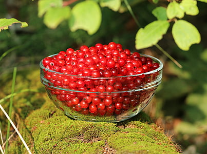 bowl of red fruit thumbnail