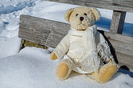 brown bear plush toy on snow covered floor during daytime thumbnail