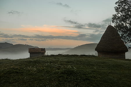 Brown Hut Near Tree on Grass Field thumbnail