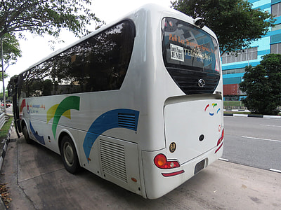 white bus parked beside road thumbnail