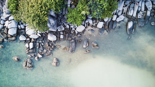 aerial view of trees beside body of water thumbnail