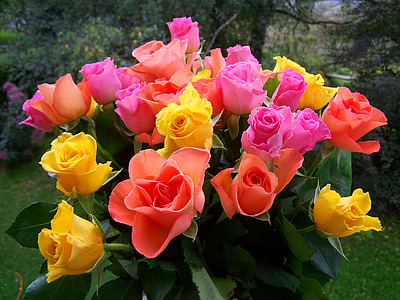 shallow focus photography of pink, yellow, and orange flowers thumbnail