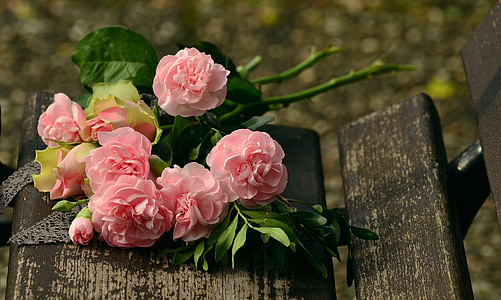 pink flowers thumbnail