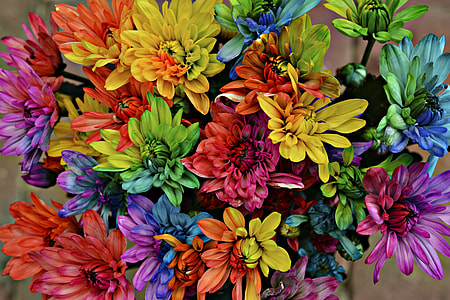 close up photo of multicolored petaled flower arrangement thumbnail