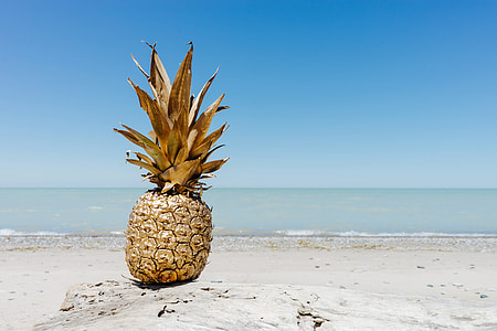 pineapple on seashore thumbnail