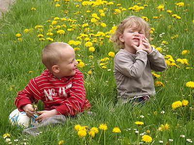 two toddlers sitting on yellow dandelion flower field thumbnail