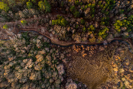 aerial photo of river flowing between brown-and-green fields thumbnail