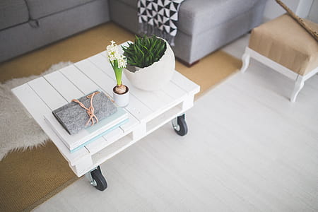 white petal flower on top of rolling rectangular white wooden table thumbnail