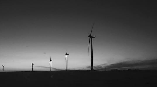 grayscale photo of wind turbines thumbnail