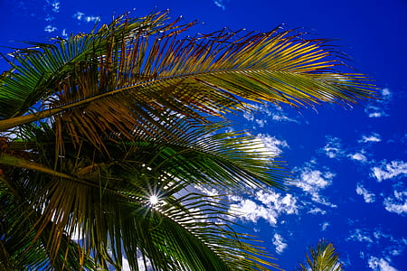 nature, sky, clouds, sun thumbnail