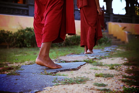 person walking on garden stepping stones thumbnail