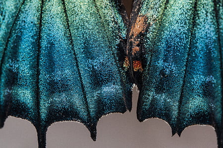 photo of blue and green glitter textile thumbnail
