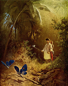 The Butterfly Hunter Art thumbnail