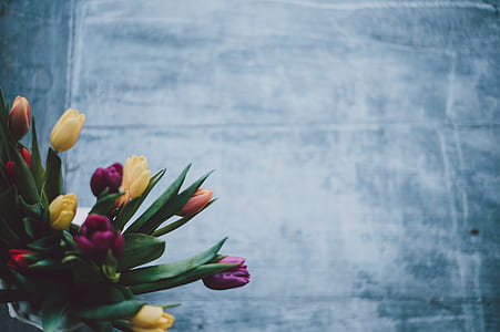red, yellow, and purple flowers thumbnail