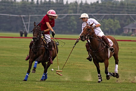 two person on horse playing croquets thumbnail