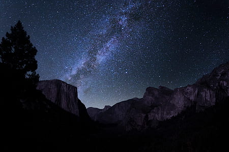 gray rocks near trees under starry night at nighttime thumbnail
