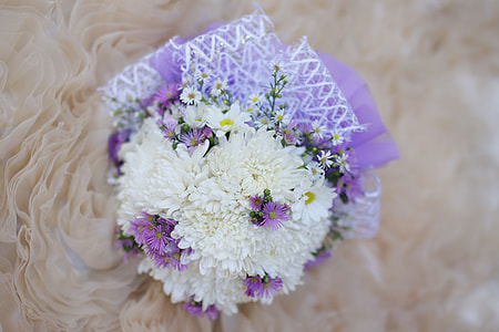 white and purple flowers thumbnail