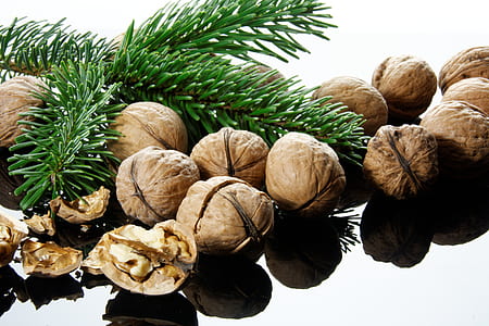 close up photograph of chestnuts thumbnail
