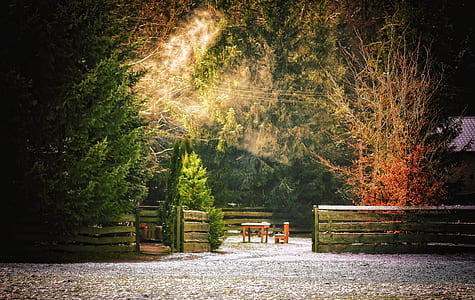 brown wooden fence beside trees, table, and chair during daytime thumbnail