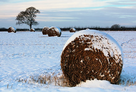 hay bail covered with snow thumbnail