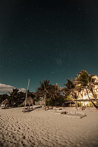 several gray loungers surrounded by palm trees on white sand thumbnail
