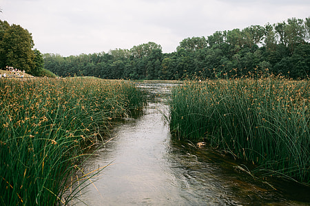 River in the summer thumbnail