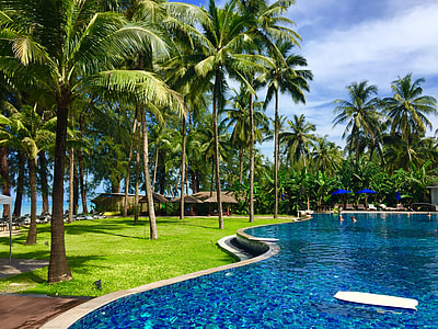 in ground pool surrounded by trees during daytime thumbnail
